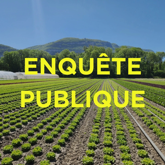 actu-img
